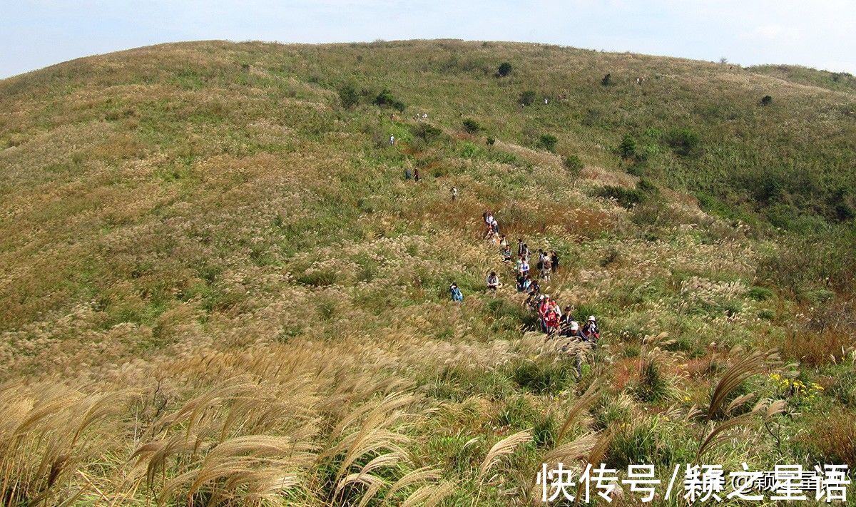 宁波|宁波唯一，高山草甸风光，希望不要修建风电场