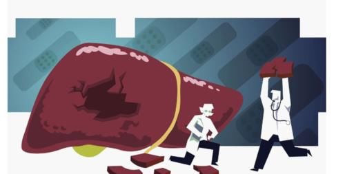 癌细胞“联手”南瓜，跟肝脏打了场“耐力战”，悄悄夺走姑娘健康