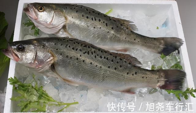 吃法|天热吃鱼，内行人专挑这4种海鱼，营养美味还便宜，再贵也值得