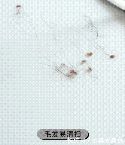 从不做大扫除！坚持3个小习惯，房子住了几年，依然干净如新！