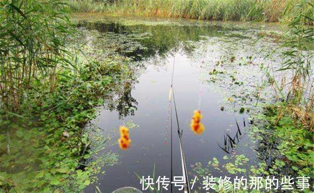 钓鱼|钓鱼中的“独家秘方”,只有民间野钓高手才懂,上鱼多是有原因的