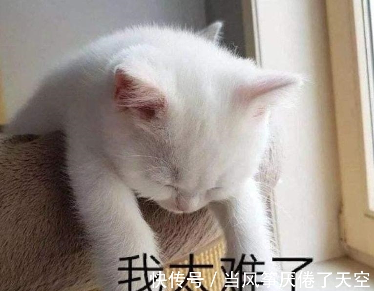 李誠儒|老戲骨言論再惹新爭(zhēng)議！娛樂圈真的不需要“沒有營養(yǎng)”的綜藝嗎？