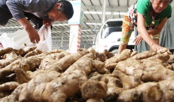 生姜|为什么说人不离姜一块生姜这么用,应对5种病,顶一个老中医