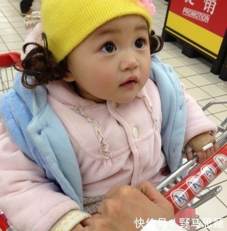 撞衫|双胞胎遛弯偶遇泰迪，“撞衫”场面太搞笑了，宝宝：好像哪里不对