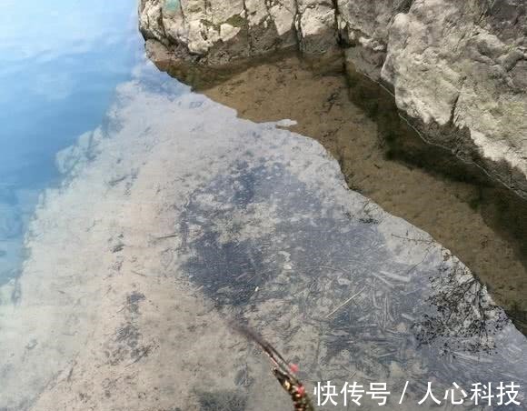 这是娃娃鱼吗山涧钓鱼,水底全是“四脚兽”,一小时钓了十几条!