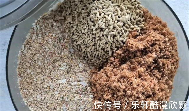 冬季野钓调整这7个方面,温度再低也有好渔获