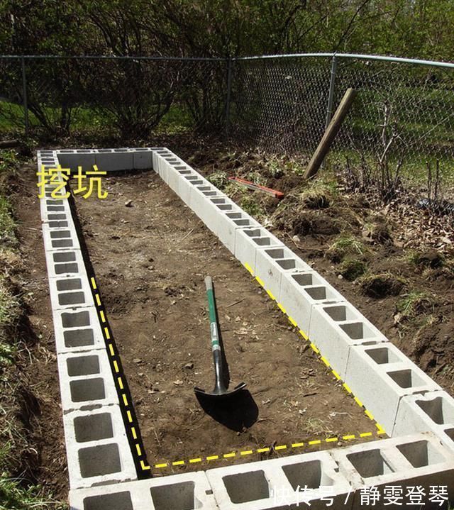 种菜|光秃秃院子太浪费,农村老爸用18块空心砖,改造成人见人爱的菜园