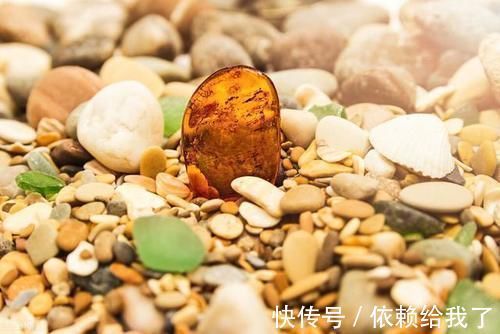 活血|有一味中药李时珍说是虎之精魄,能养心安神调失眠,还能活血通经