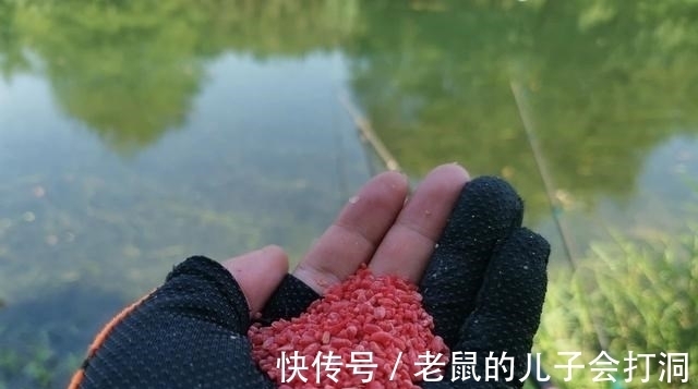 关于酒米的4个谣言,很多钓鱼人都被骗过!