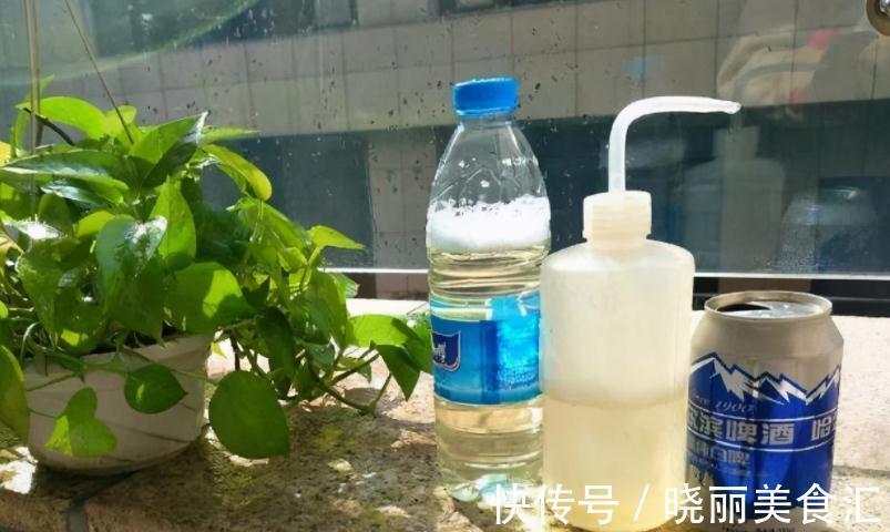 养花基本要求:浇水前后,不注意这些地方,真的要吃亏