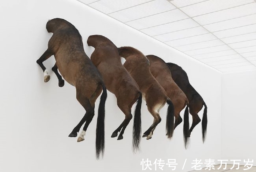 艺术品#价值85万的艺术香蕉,展览时意外被1名游客吃掉,游客结局怎样?