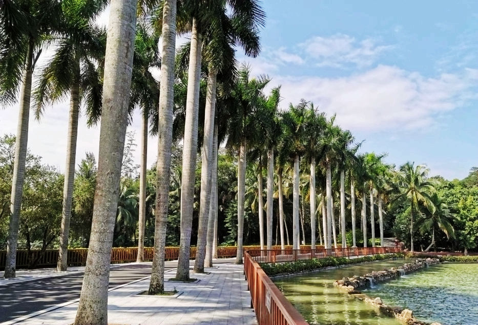 热带经济|美丽的植物园，独特的植物景观——游兴隆热带植物园