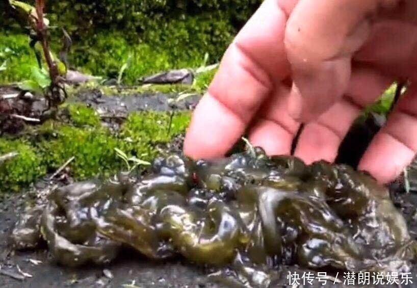 十个人|十个人九个腰疼,每天吃一物,腰不疼了,排毒滋阴,上8楼更轻松