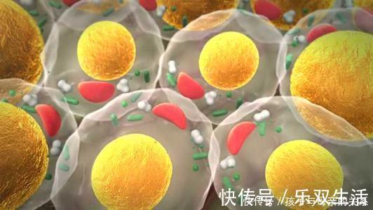 胆固醇|甘油三酯超标,退休院士提醒:做对3事,坚持15天,血脂自己降