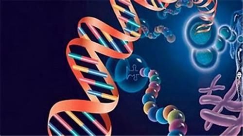 误诊|肿瘤一般治不好，能治好的都是误诊了？肿瘤医生说出了心里话