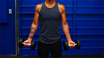 手肘|推肩一套省时、高效的肱二头训练！