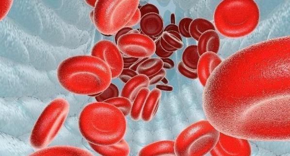 粘度|人到中年,血液粘稠该怎么办?用此物泡水喝,可有助于预防血栓