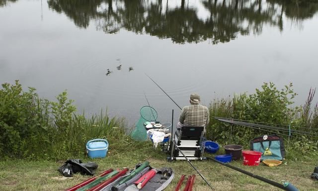 为什么现在很多钓友由台钓改为传统钓?这才是主要原因