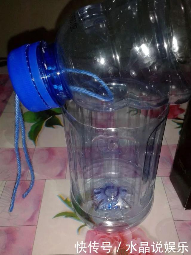 生根|矿泉水瓶有“大作用”,10个“用法”最经典,可以种豆芽、养花