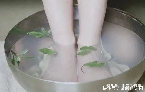 體質|冬病夏治！3大妙招，有病治病，無病預防，徹底改善你的體質！