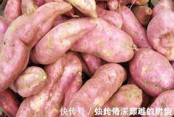 身体不适|红薯被称为“长寿果”， 但最好不要与此物同食