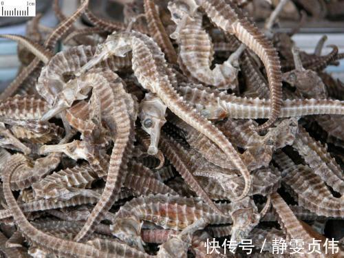 涨知识|中医入门寒、热、温、凉,4类药材运用经验!(涨知识)