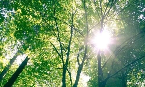 三伏天|三伏天是祛湿的好时机,少碰“3物”,常吃“4物”,或帮助祛湿