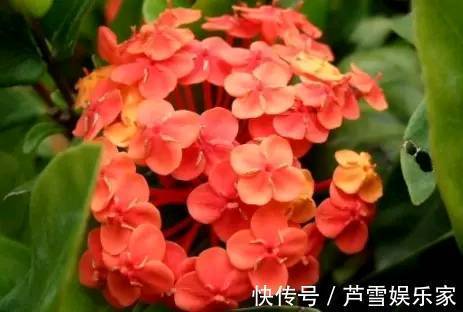 脚踏地&人若恶毒,众叛亲离;人若善良,价值不菲