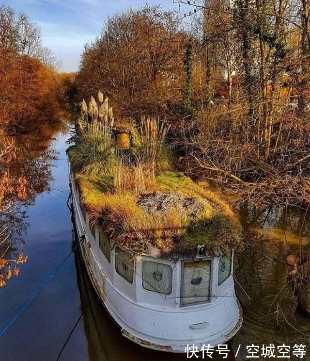 高尔夫球场#30张“活久未见”的照片:被闪电击中的木头,好像一副国画