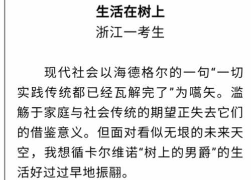 2020高考满分作文，因用大量偏僻字惹争议，专家：读不懂不该给满分