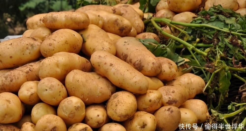 暴增|清朝初期,人口不过几千万,为何清朝灭亡时人口就暴增到四亿?