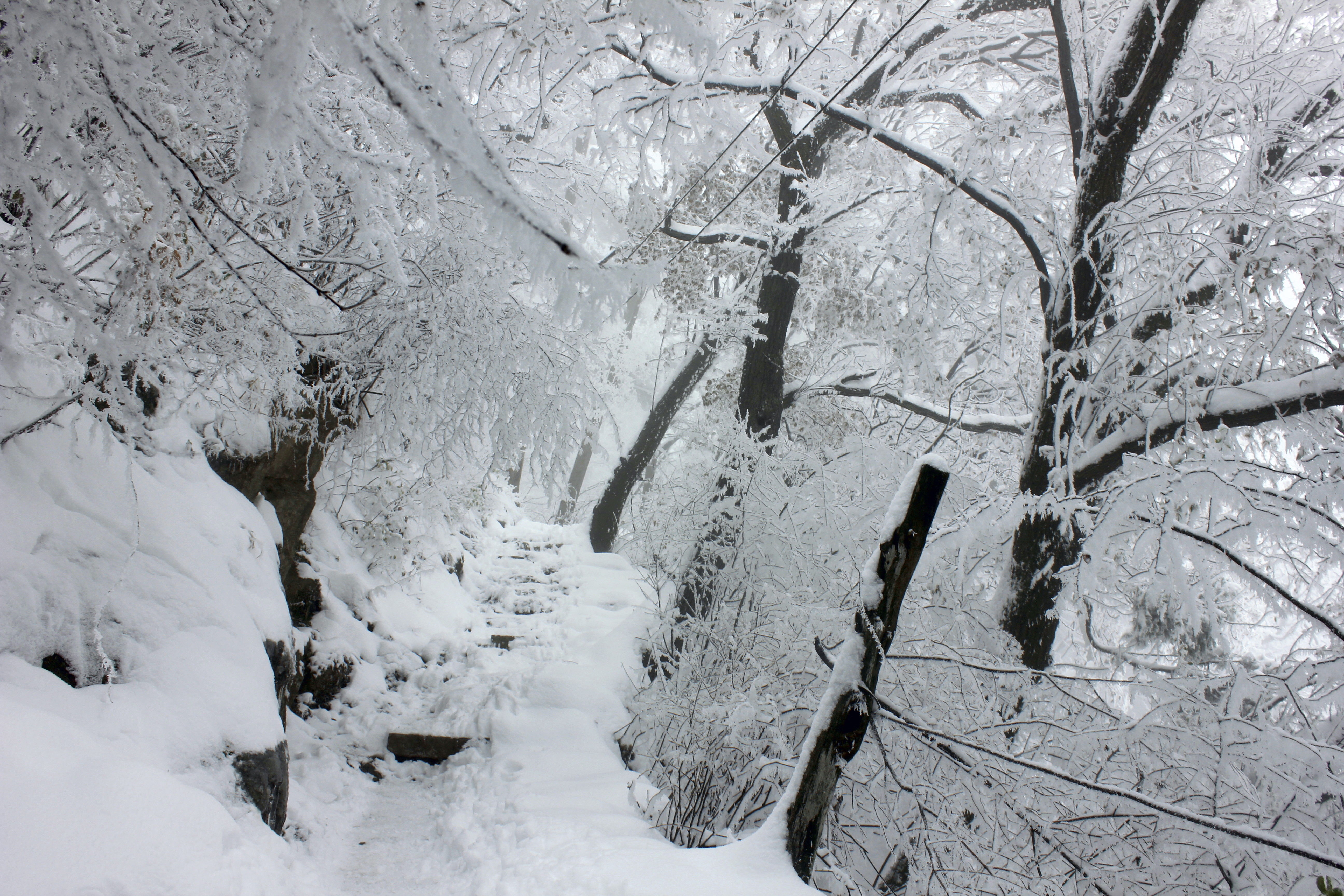 征集|【年末福利征集】雪后南五台幸遇云海