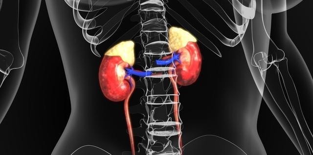 经络|中医谈疼、痛、痒、酸、胀、麻、疲、乏、饥、饿、劳、累、聪