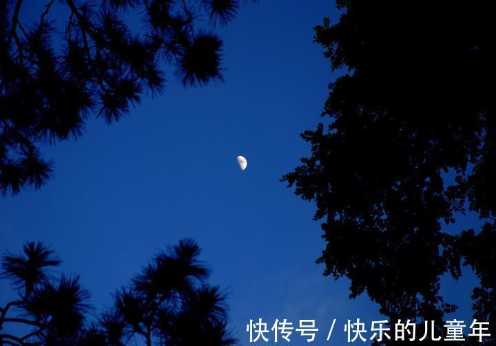 失眠|养好五脏调失眠:烦躁失眠养肝、腹胀难眠养脾