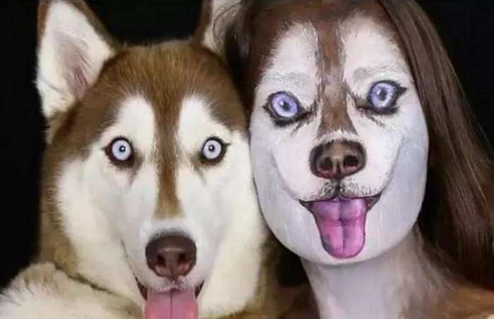 真假|女子将自己化妆成二哈模样,和自家狗狗一起拍照,众人难辨别真假