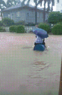 |搞笑GIF趣图:看漂亮小姐姐在线给大家跳舞,大家都很支持