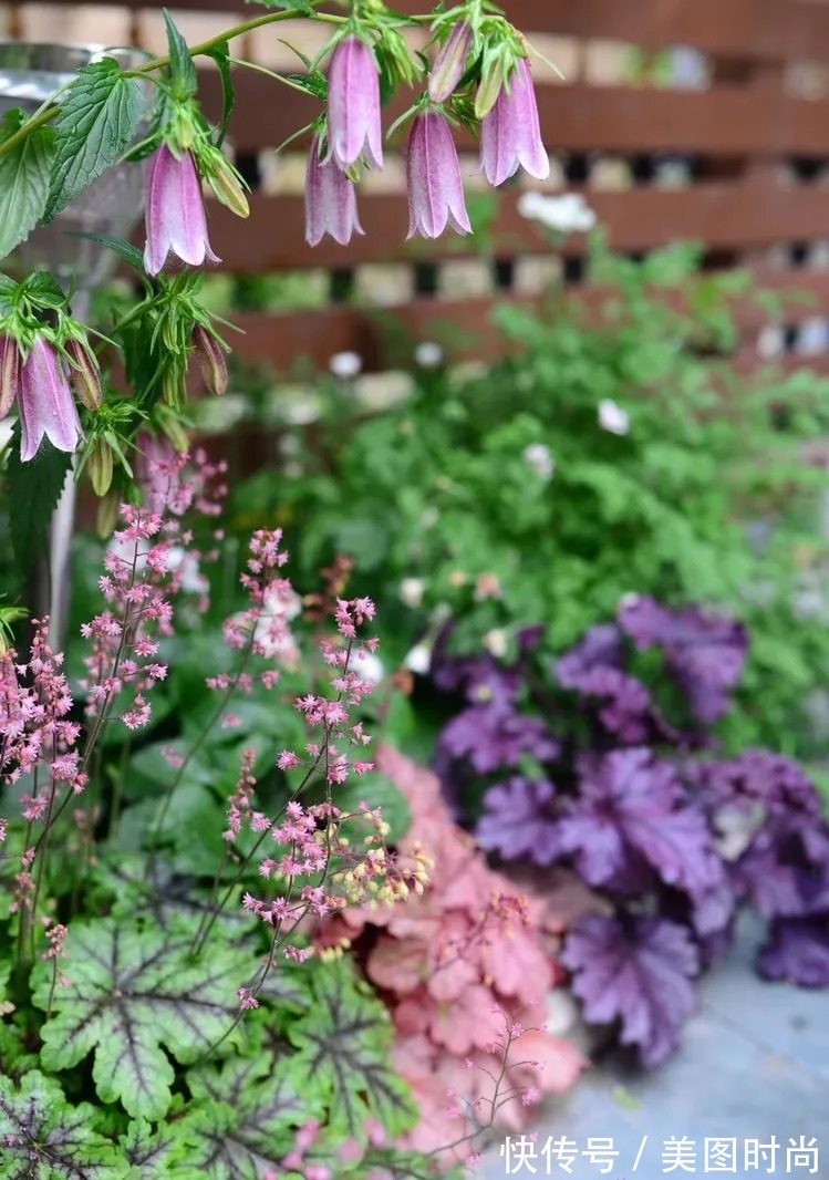 防腐木|为了这个45㎡小院子，坚持买了一楼，打造成花园后比别墅还好看