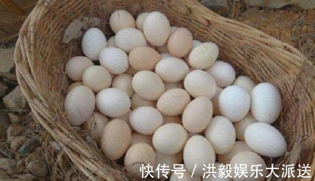 油桶里的鸡蛋是怎么放进去的呢我来为你解除疑惑，其实非常简单