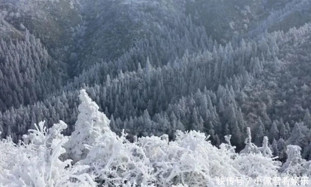 雾凇|雾凇奇观、百里云海！就这两天，快来北湖区仰天湖！