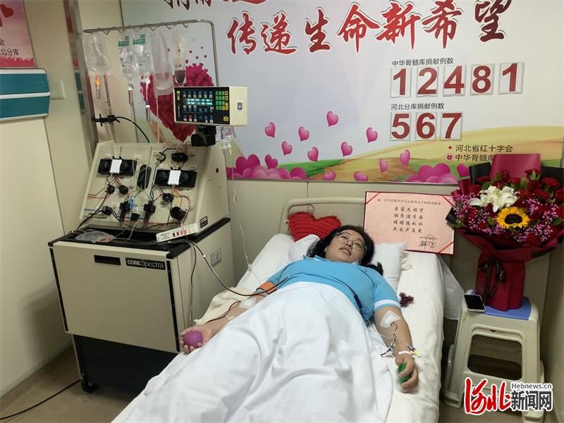 爱心园长|河北邢台“爱心园长”成功捐献造血干细胞