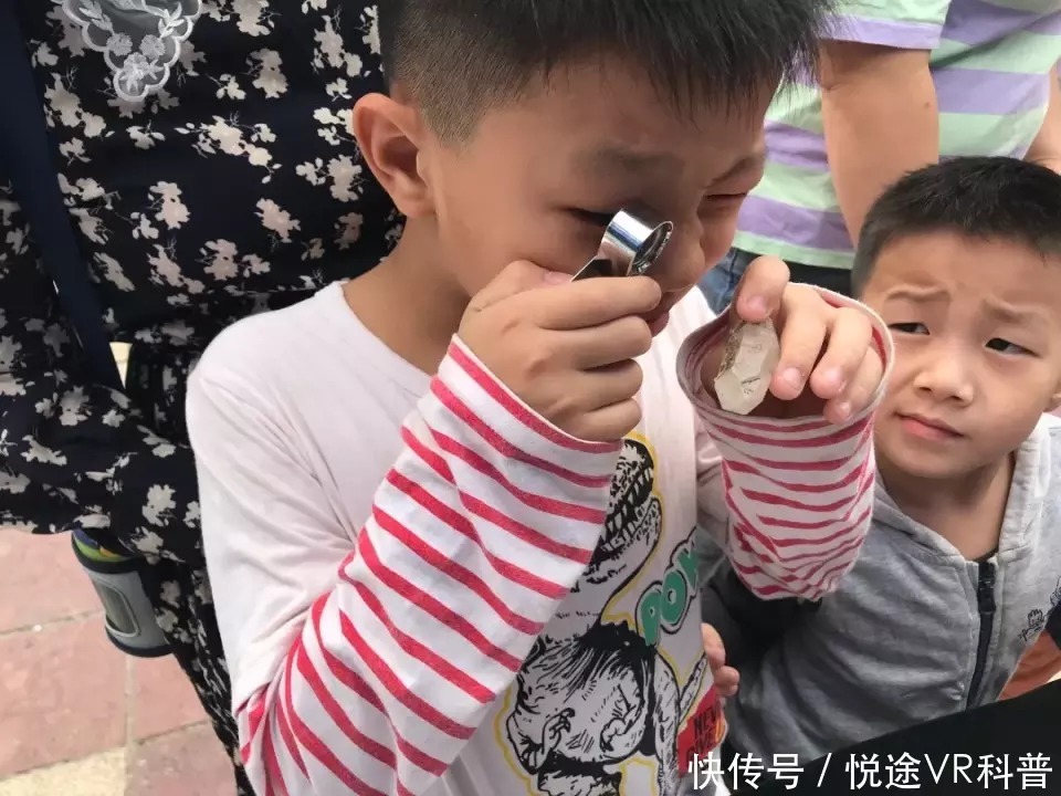 研究化石,趣味定向,植物压花!番禺公园科普活动继续神奇旅程!