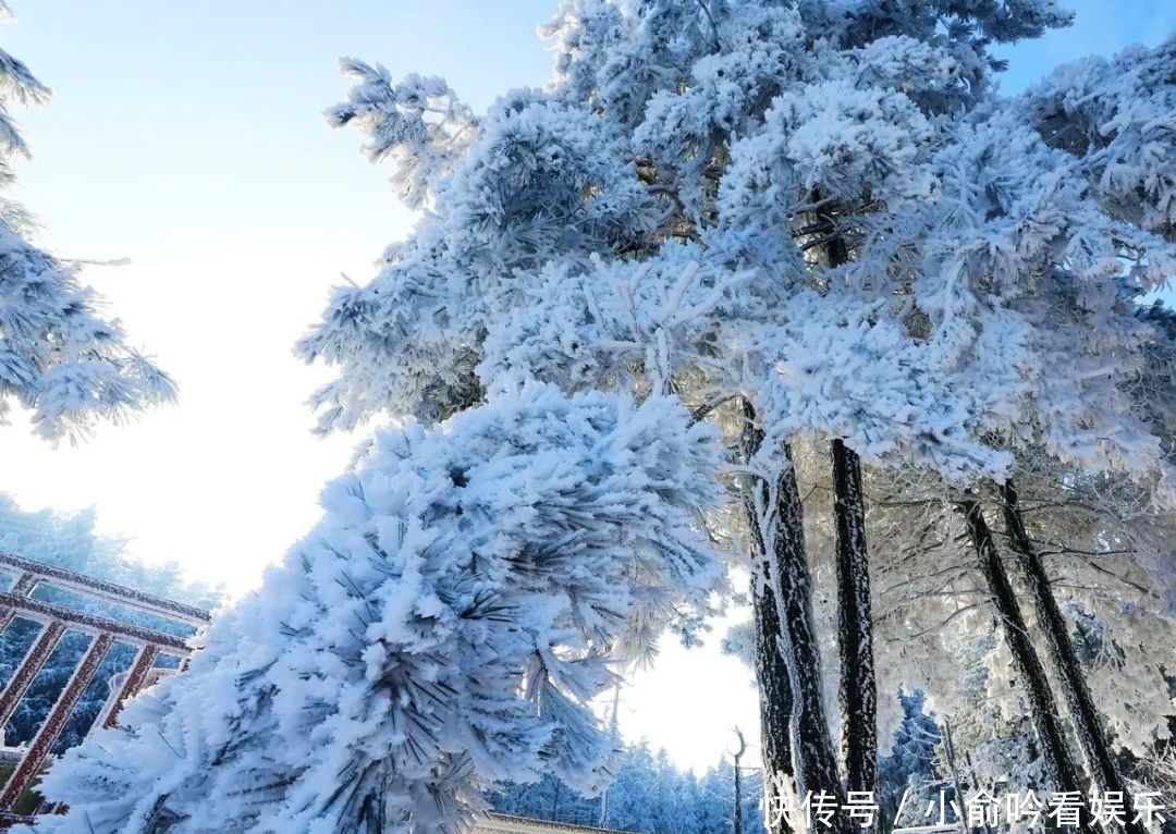 雪景|遂昌大美雪景图！让你一次看个够