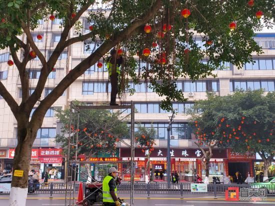 传统节日|红红火火迎新年 沿滩处处是年味