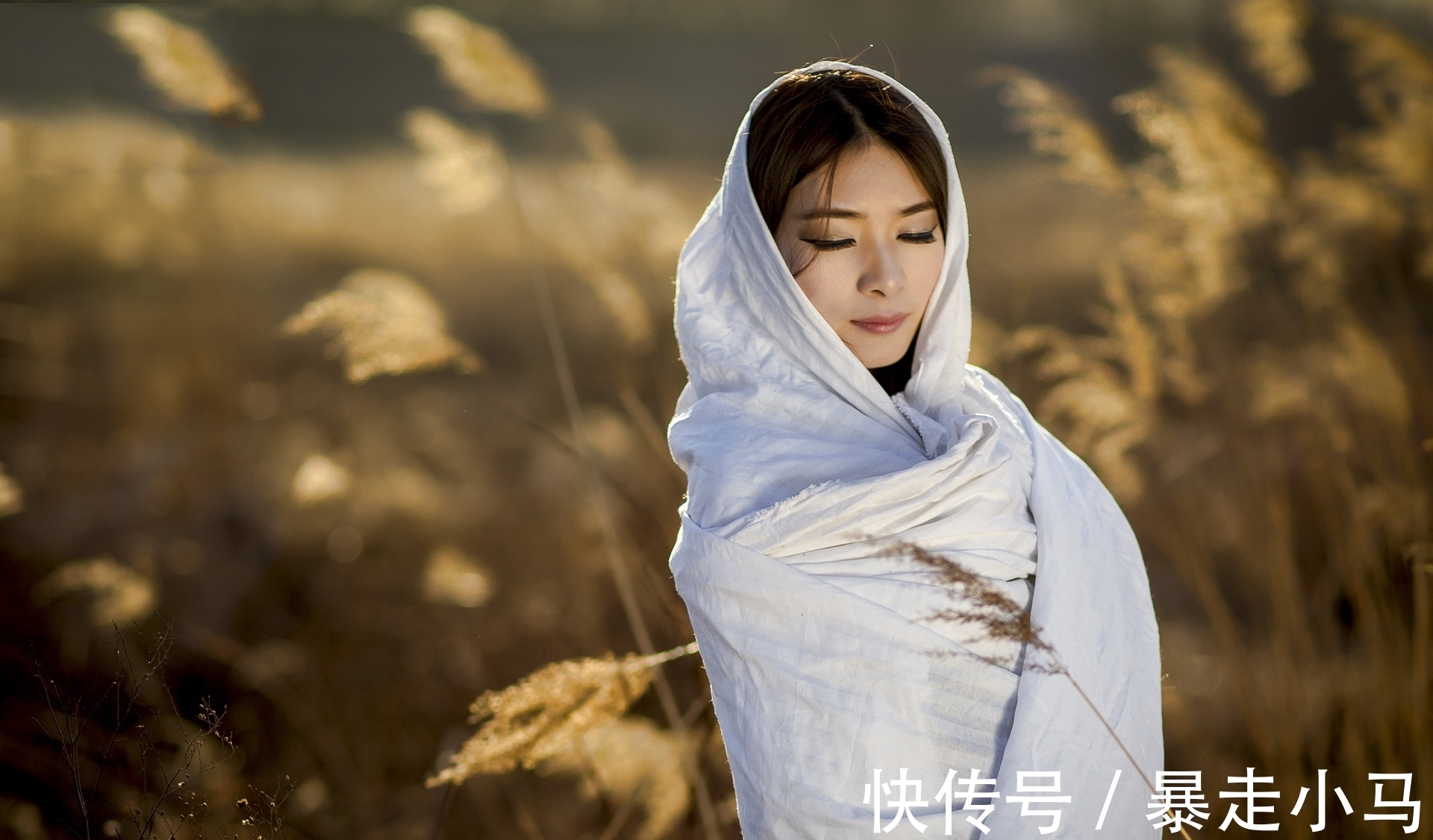 清风明月!谁说当代无好诗?推荐34首好诗,送给苍凉冬天,像一壶老酒温暖你