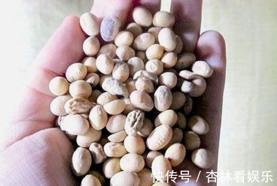 施肥|还在用花肥养花盆里加“几粒它”,3个月不用施肥,叶绿花旺