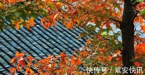 秋月$李白夜泊江岸,抒写了一首传世名作,含蓄深沉,更显挥洒自如