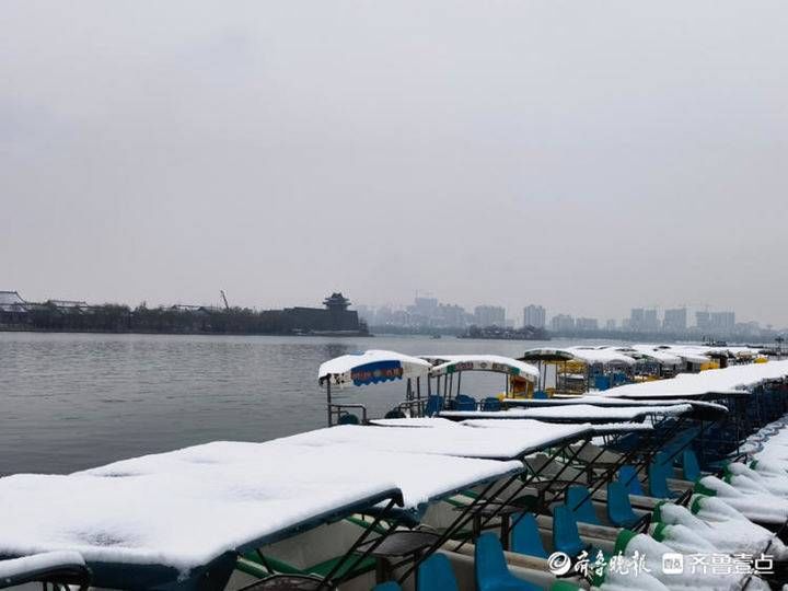 邢台|雪！雪！雪！聊城雪景大片来了，美翻天……