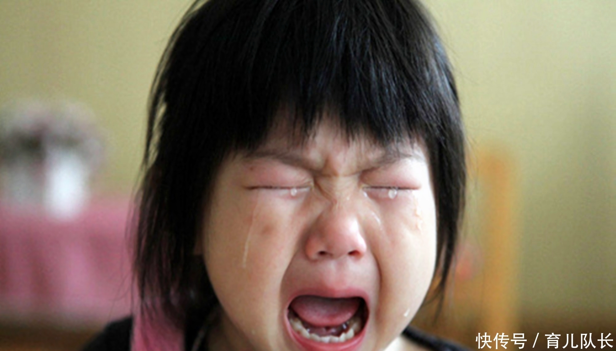 父母|白岩松:父母要明白有三种苦孩子不会白吃,吃得越多长大越有出息