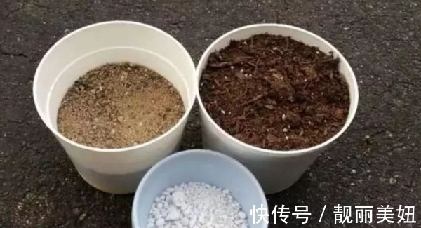 盆栽多肉不想土结块就用这“渣”作弊,方便储存空气、排泄积水
