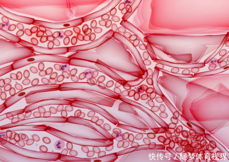 张大爷|血脂高,别急着花钱买药,每天坚持吃1“零食”,血脂嗖嗖降
